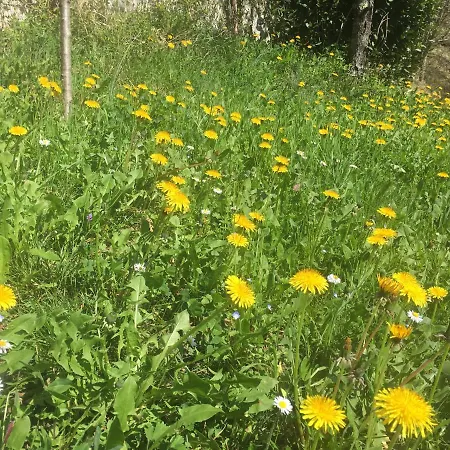 Da A Mericana - Holiday home Valletti