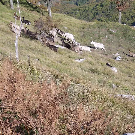 Holiday home Da A Mericana - Valletti
